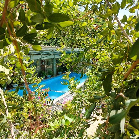 Silk Island Homestay Πνομ Πενχ Εξωτερικό φωτογραφία