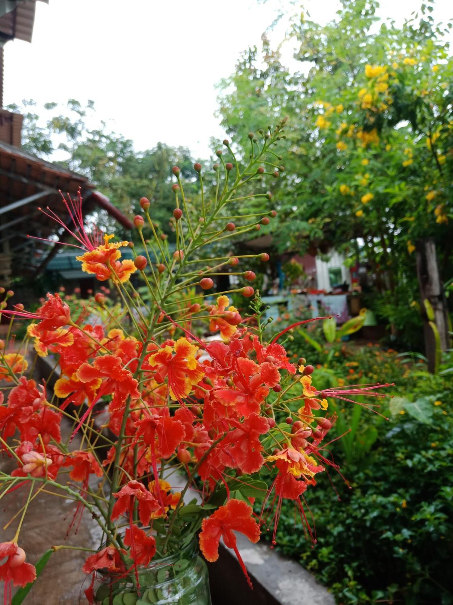 Silk Island Homestay Πνομ Πενχ Εξωτερικό φωτογραφία
